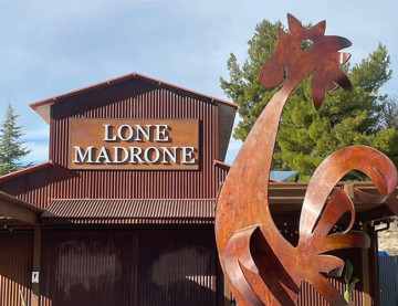 Lone Madrone