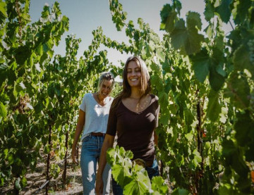 My Favorite Neighbor